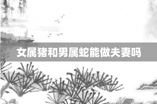 女属猪和男属蛇能做夫妻吗