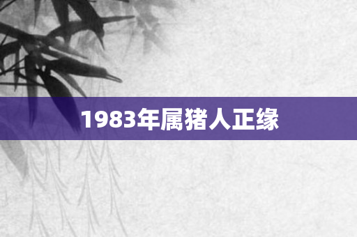 1983年属猪人正缘