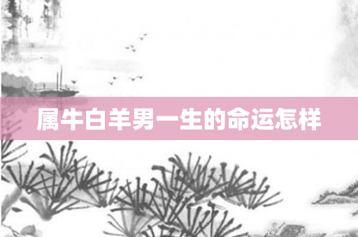 属牛白羊男一生的命运怎样