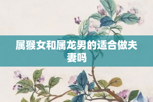属猴女和属龙男的适合做夫妻吗