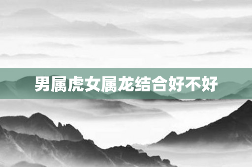 男属虎女属龙结合好不好