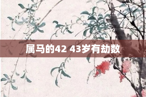 属马的42 43岁有劫数