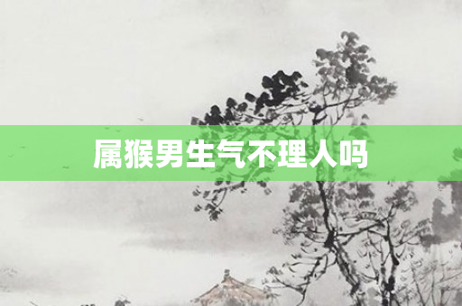 属猴男生气不理人吗