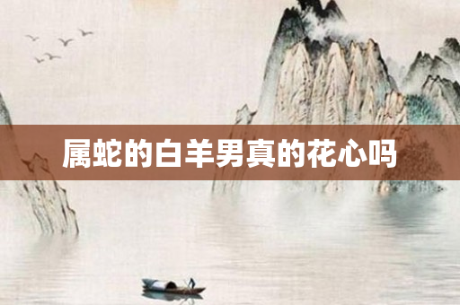 属蛇的白羊男真的花心吗