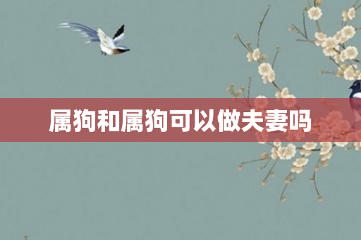 属狗和属狗可以做夫妻吗