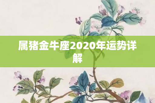 属猪金牛座2020年运势详解