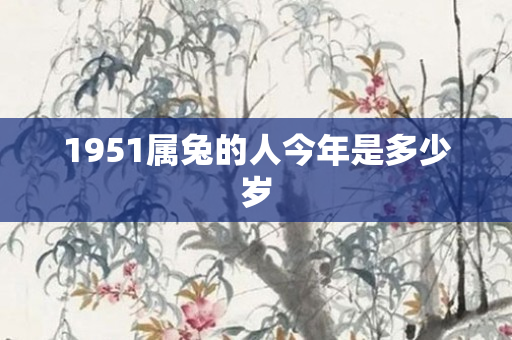 1951属兔的人今年是多少岁
