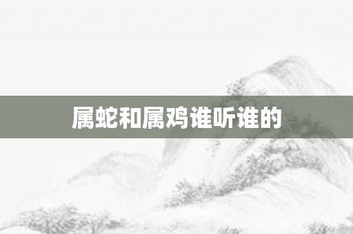 属蛇和属鸡谁听谁的