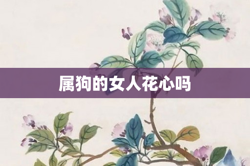 属狗的女人花心吗