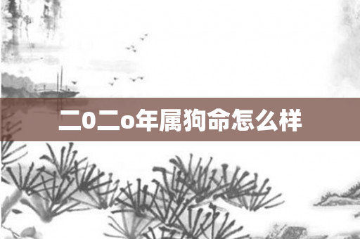 二0二o年属狗命怎么样