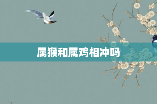 属猴和属鸡相冲吗