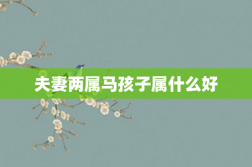 夫妻两属马孩子属什么好