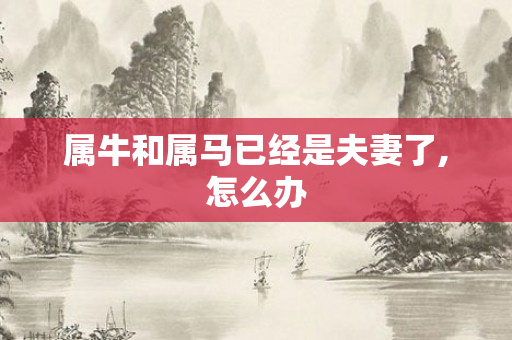 属牛和属马已经是夫妻了,怎么办