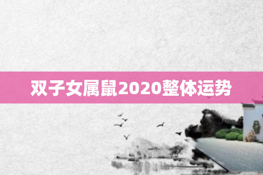 双子女属鼠2020整体运势