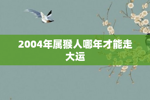 2004年属猴人哪年才能走大运