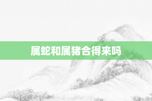 属蛇和属猪合得来吗