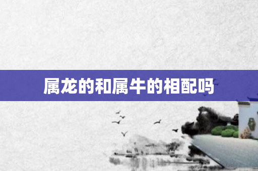 属龙的和属牛的相配吗