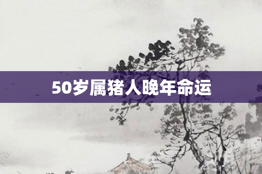 50岁属猪人晚年命运