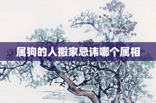 属狗的人搬家忌讳哪个属相