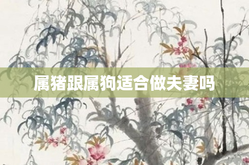 属猪跟属狗适合做夫妻吗