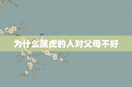 为什么属虎的人对父母不好
