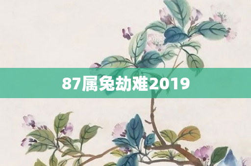 87属兔劫难2019