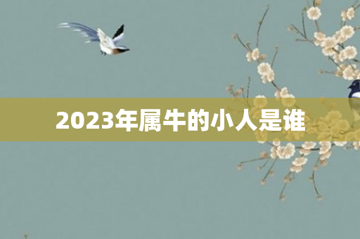 2023年属牛的小人是谁