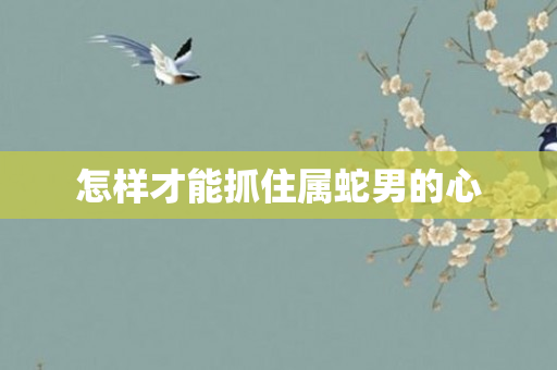 怎样才能抓住属蛇男的心