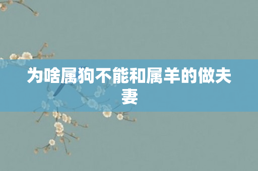 为啥属狗不能和属羊的做夫妻