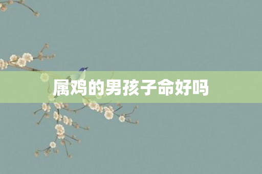 属鸡的男孩子命好吗