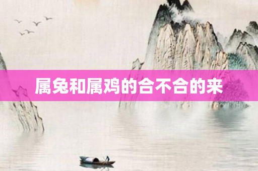 属兔和属鸡的合不合的来