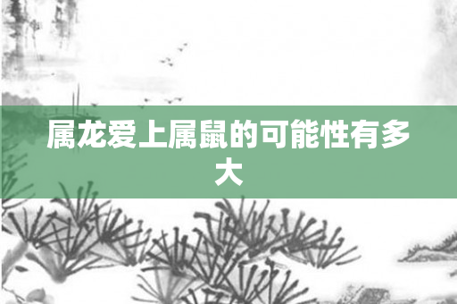 属龙爱上属鼠的可能性有多大