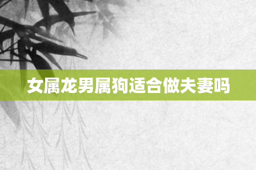 女属龙男属狗适合做夫妻吗