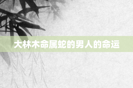 大林木命属蛇的男人的命运