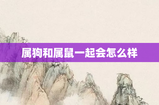 属狗和属鼠一起会怎么样
