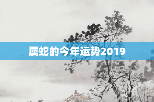属蛇的今年运势2019
