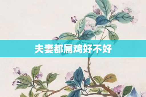 夫妻都属鸡好不好