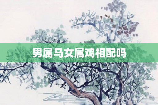 男属马女属鸡相配吗