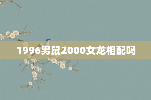 1996男鼠2000女龙相配吗