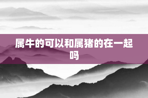 属牛的可以和属猪的在一起吗