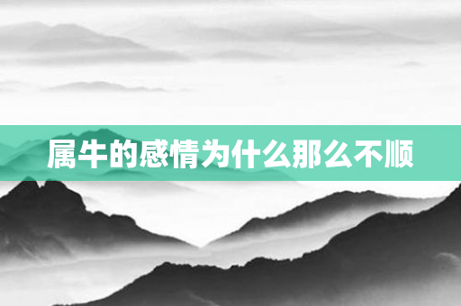 属牛的感情为什么那么不顺