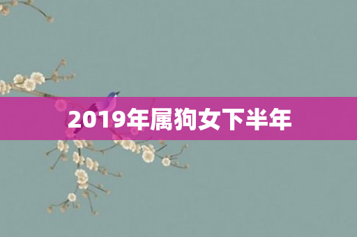 2019年属狗女下半年