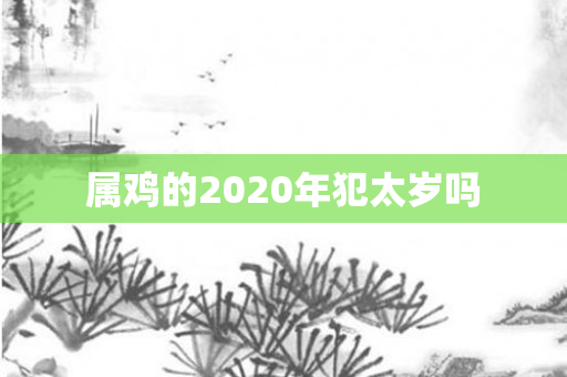 属鸡的2020年犯太岁吗