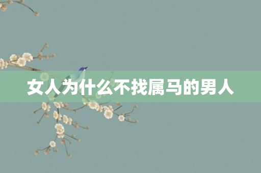 女人为什么不找属马的男人