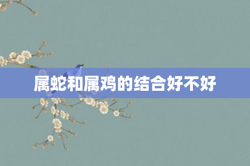 属蛇和属鸡的结合好不好