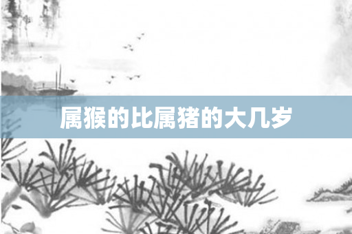 属猴的比属猪的大几岁