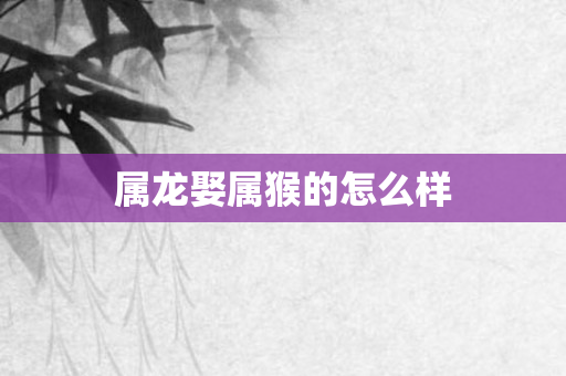 属龙娶属猴的怎么样