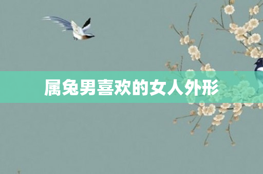 属兔男喜欢的女人外形