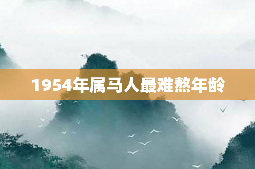 1954年属马人最难熬年龄