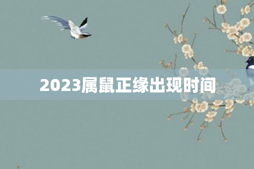 2023属鼠正缘出现时间